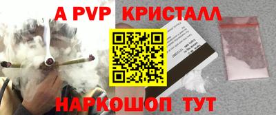 ECSTASY Свободный