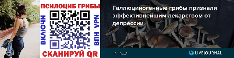 Галлюциногенные грибы GOLDEN TEACHER дарнет шоп Славгород