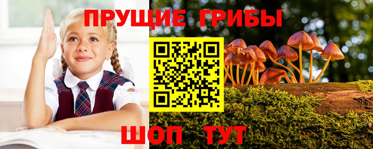 Галлюциногенные грибы MAGIC MUSHROOMS  Вход с VPN  Славгород 