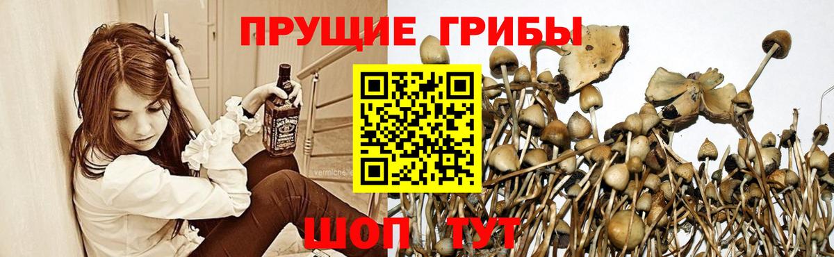 Галлюциногенные грибы GOLDEN TEACHER Славгород